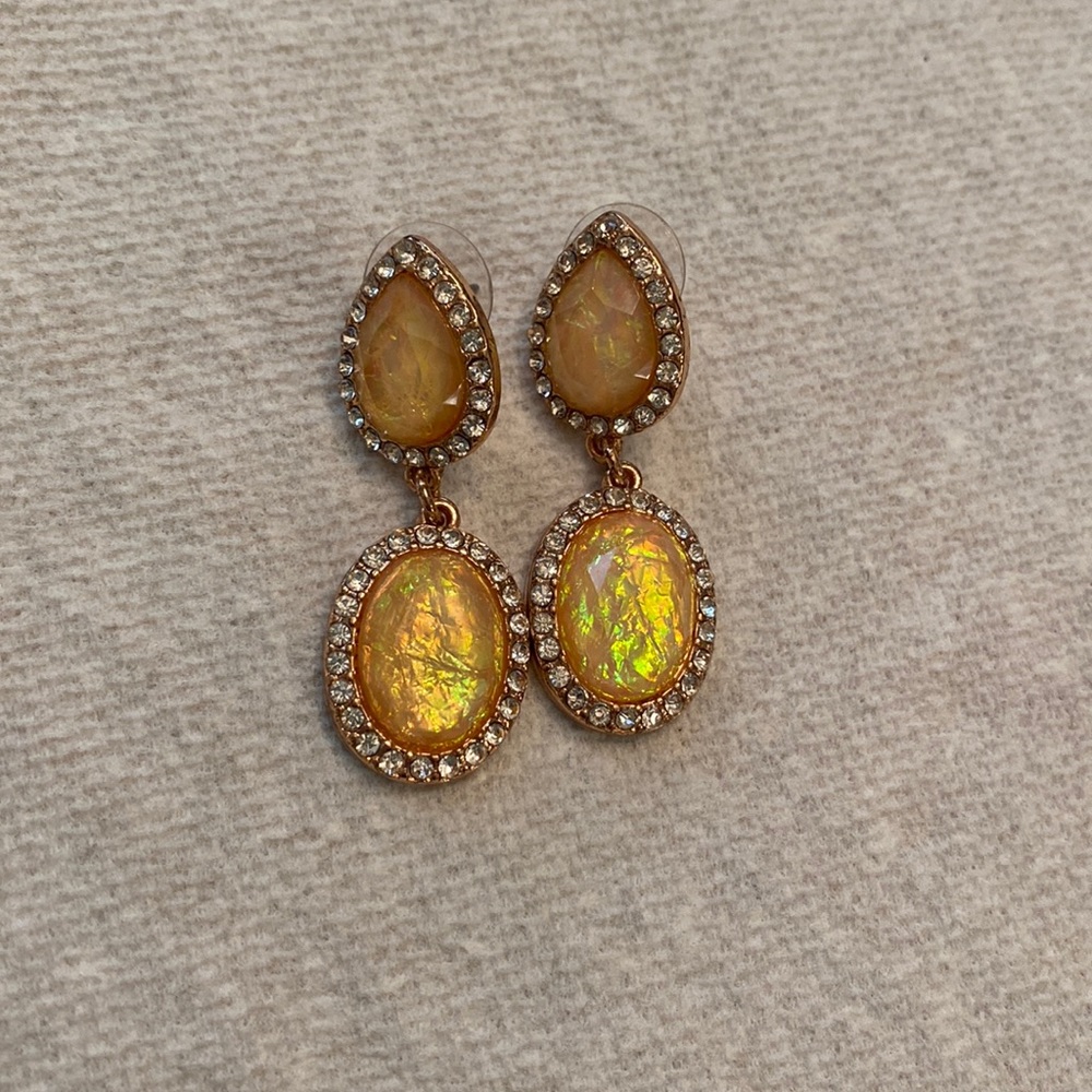Rose Gold Earrings